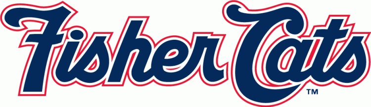 New Hampshire Fisher Cats 2008-2010 wordmark logo v2 iron on transfers for clothing
